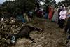 Alhucemas, febrero de 2004: Duelo por el burro muerto.