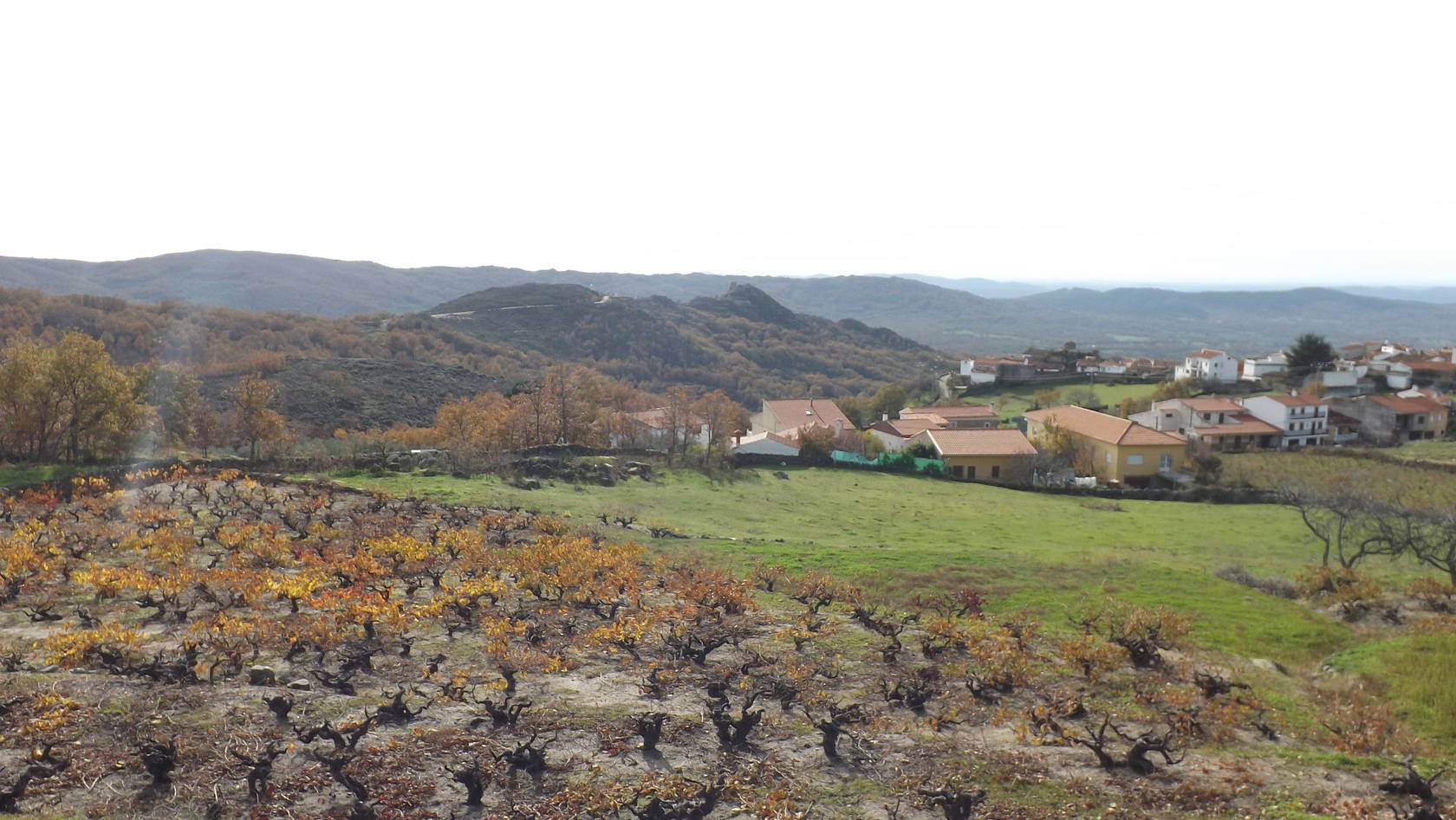 Ruta verde de la Cervigona, en la Sierra de Gata