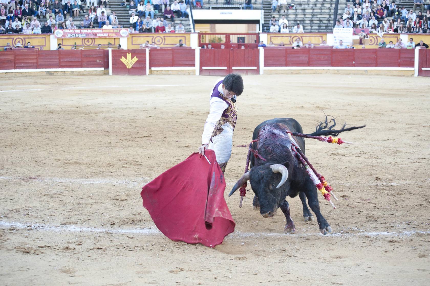 José Garrido y Posada de Maravillas, muy por encima de los novillos