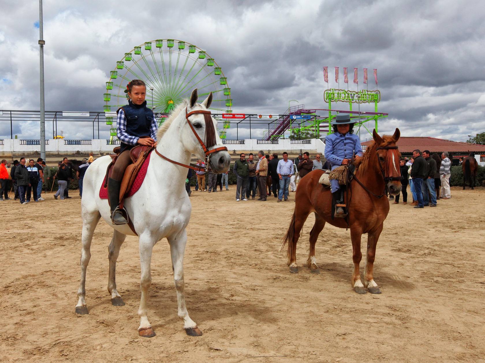 Se celebra la Feria del Ganado en el recinto hípico de Cáceres