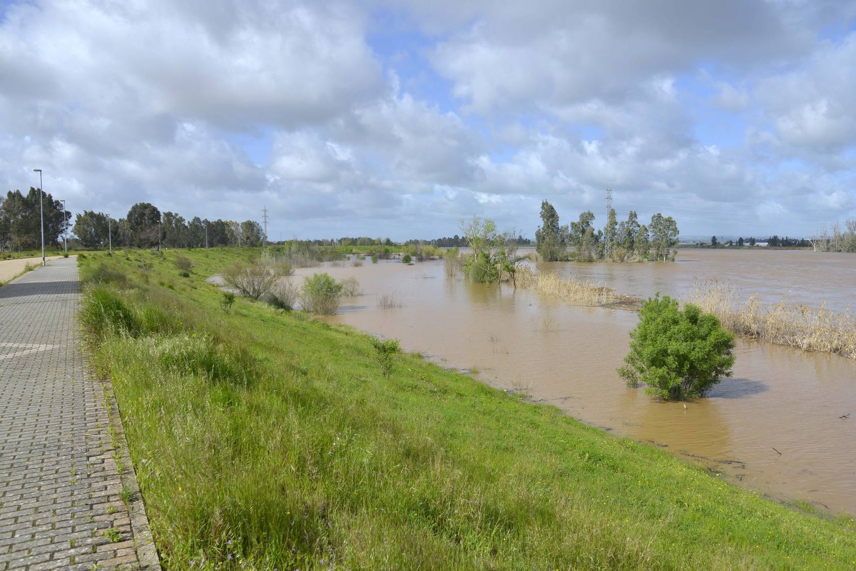 Crecida del Guadiana a su paso por Badajoz