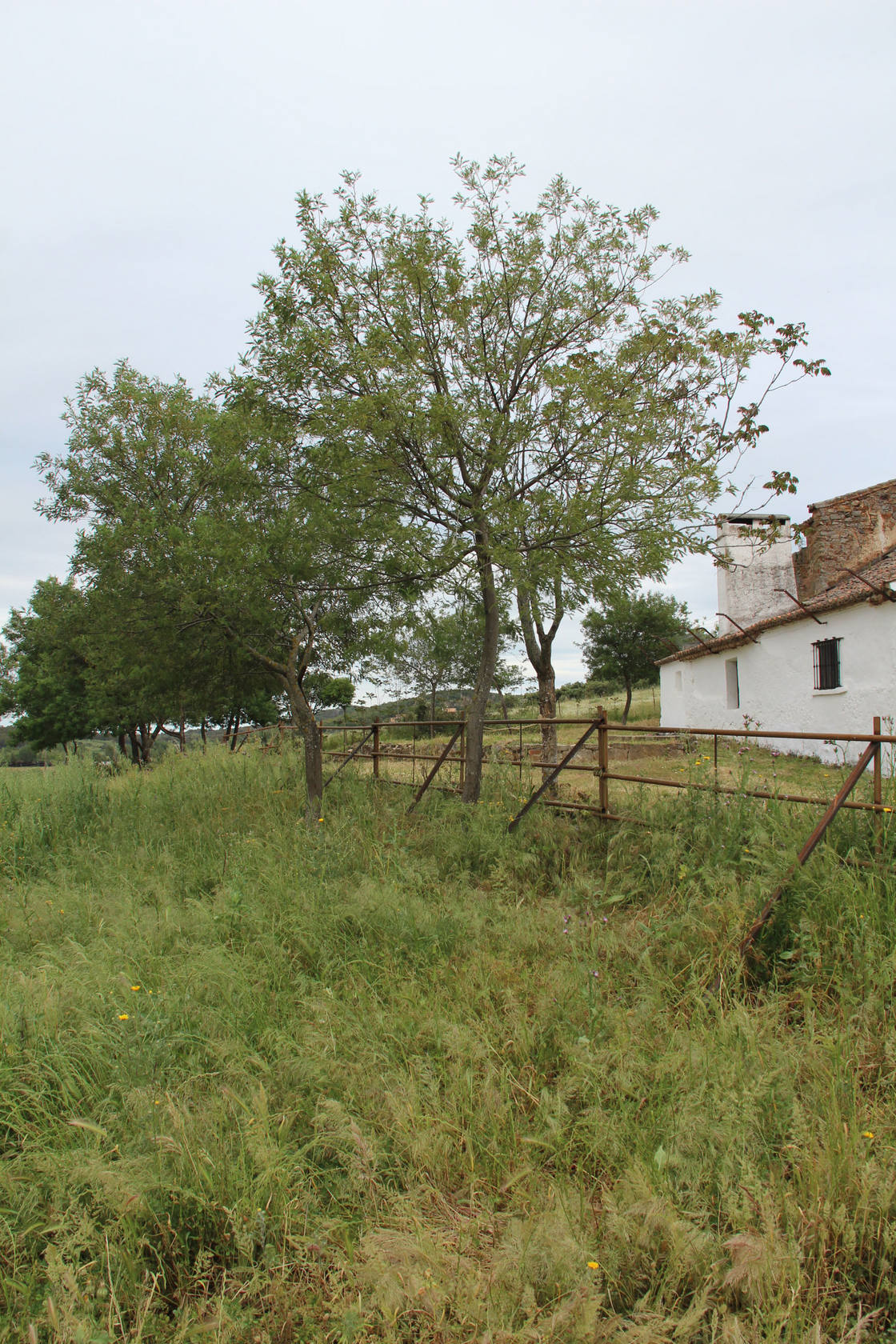 El juzgado exige que se retire parte del vallado de Santa Lucía